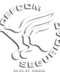 DEFCOM SEGURIDAD